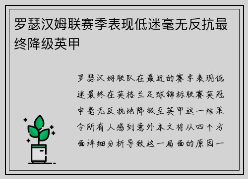 罗瑟汉姆联赛季表现低迷毫无反抗最终降级英甲